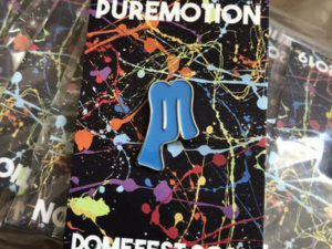 Puremotion Domefest 2019
