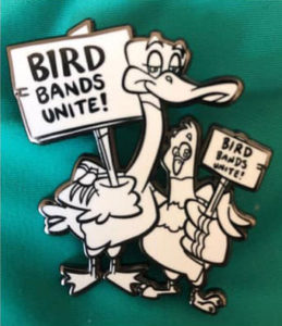 Bird Bands Unite