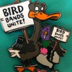 Bird Bands Unite